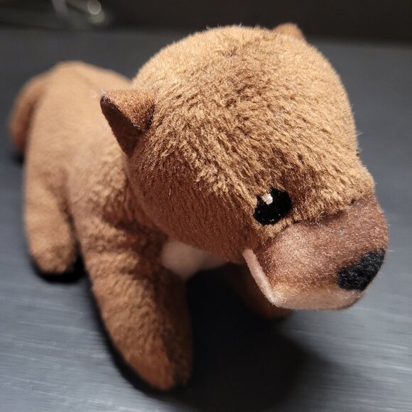 Eurasion Otter - Picture 2 of 3